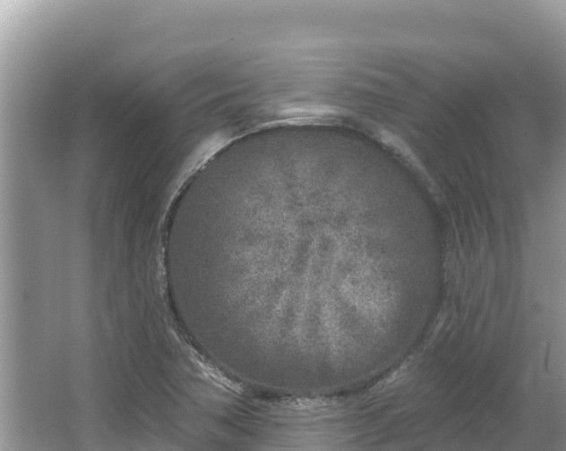 X0000067491362200604101244