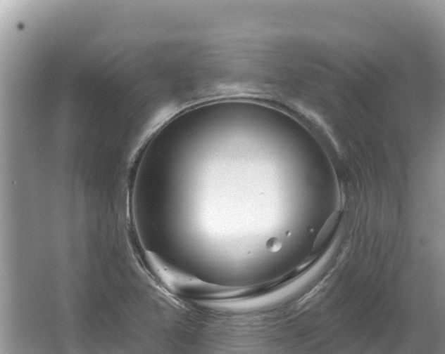 X0000067491365200604101244