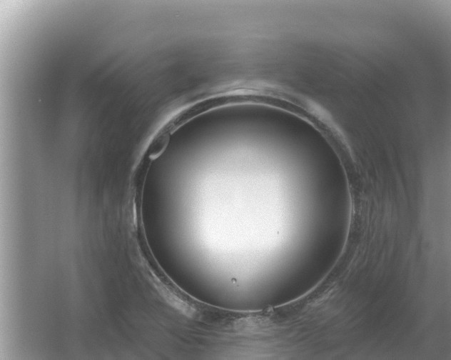 X0000067491368200604101244