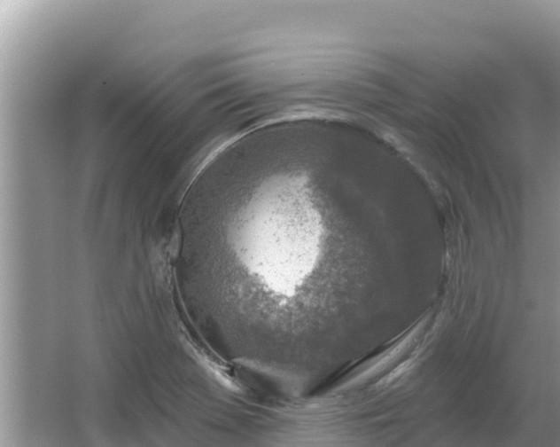 X0000067491369200604101244