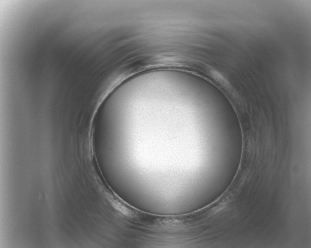 X0000067491370200604101244