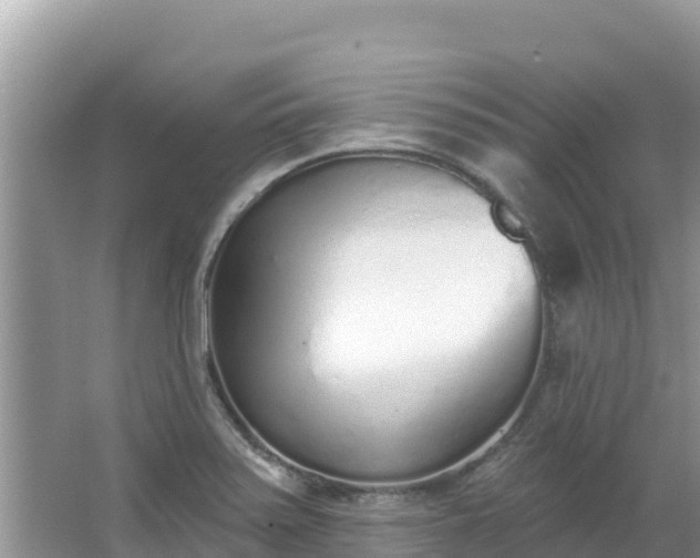 X0000067491371200604101244