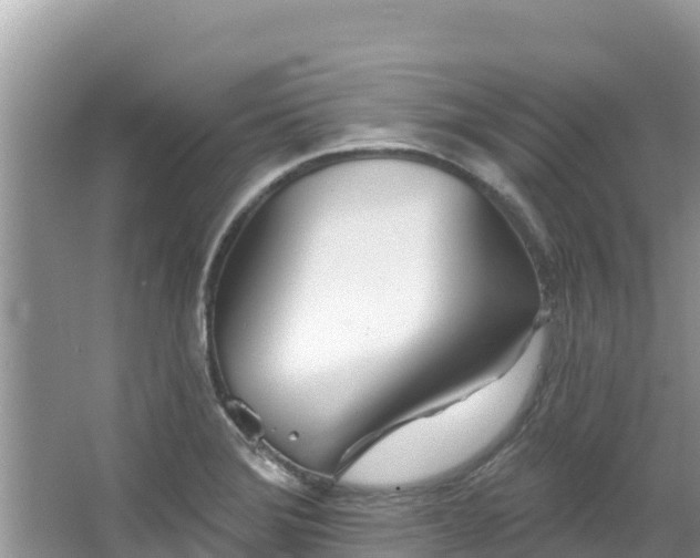 X0000067491372200604101244