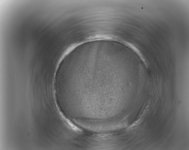 X0000067491373200604101244