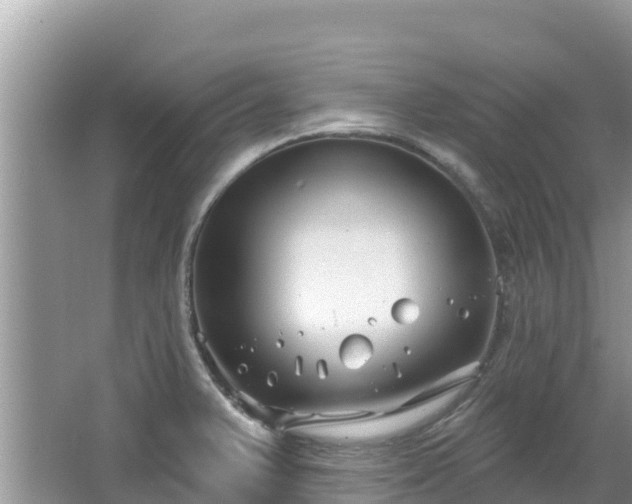 X0000067491375200604101244