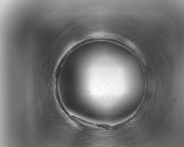 X0000067491376200604101244