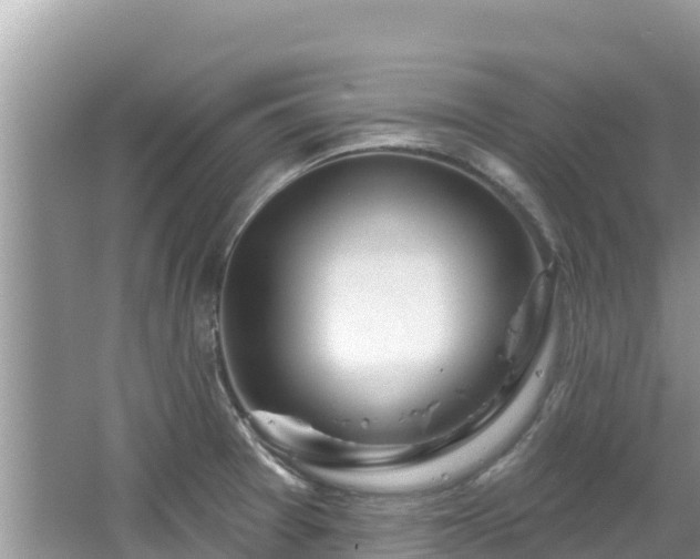 X0000067491377200604101244