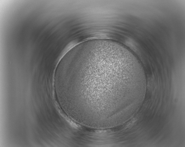 X0000067491378200604101244