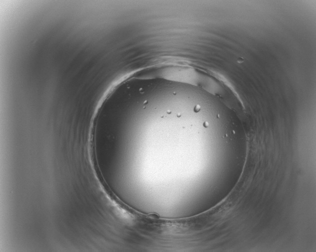 X0000067491379200604101244