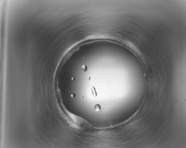 X0000067491380200604101244