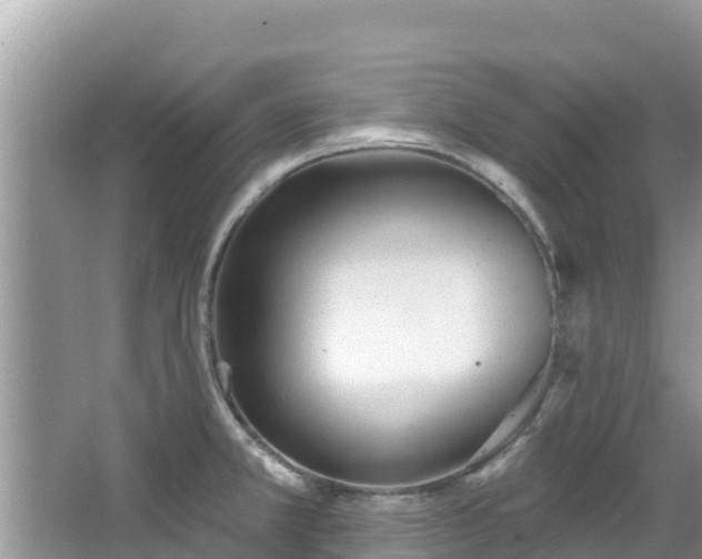 X0000067491381200604101244