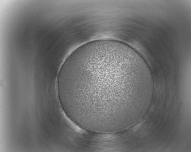 X0000067491382200604101244