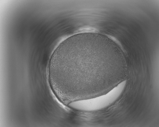 X0000067491383200604101244