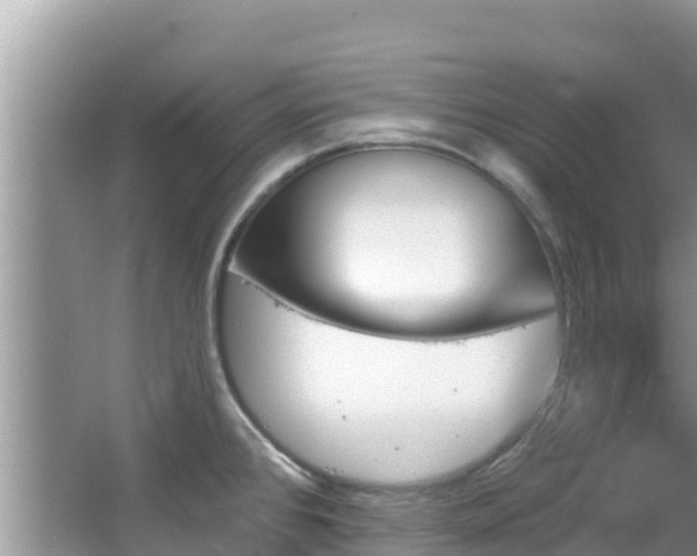 X0000067491384200604101244