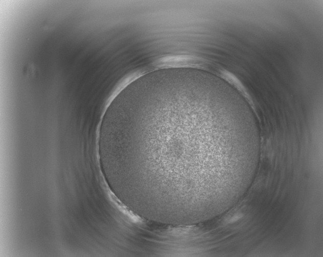 X0000067491386200604101244