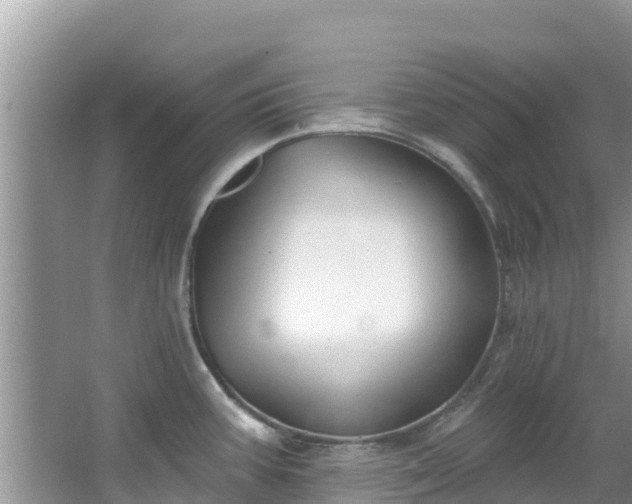 X0000067491387200604101244