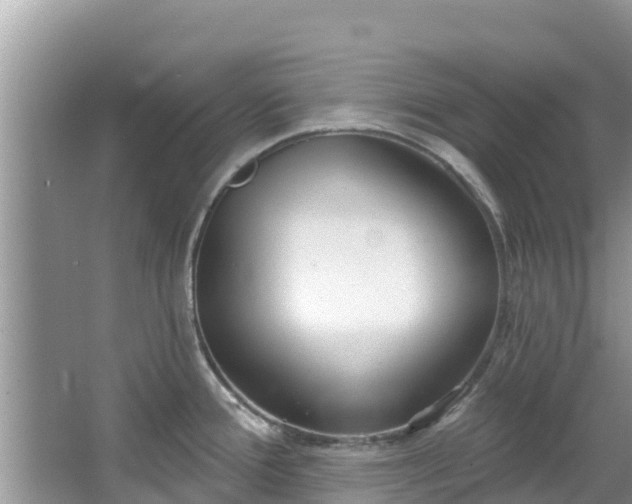 X0000067491388200604101244