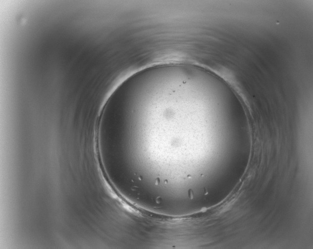 X0000067491390200604101244