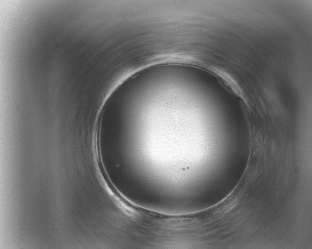 X0000067491391200604101244