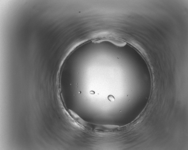 X0000067491392200604101244