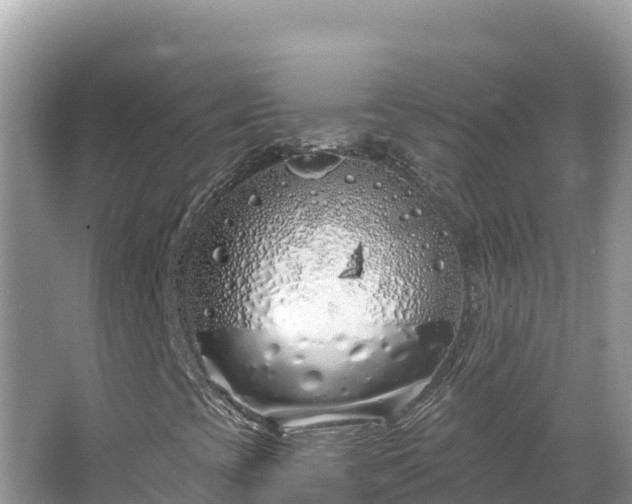 X0000067491393200604101243