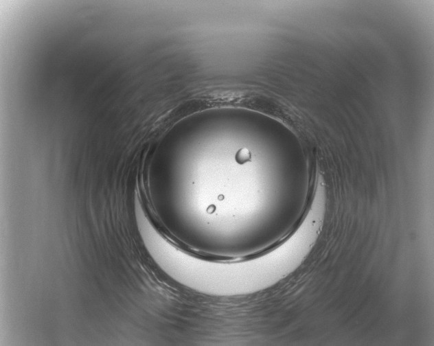 X0000067491394200604101243