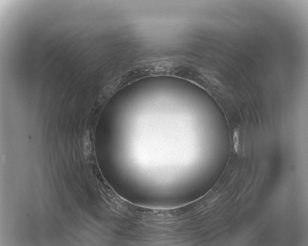 X0000067491395200604101243