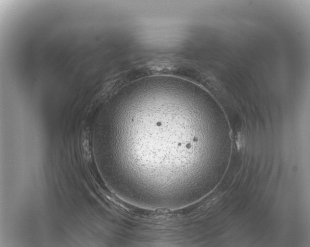 X0000067491396200604101243