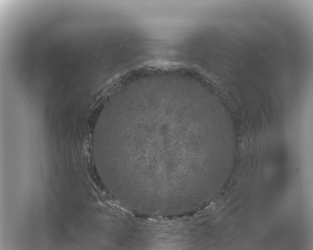 X0000067491397200604101243