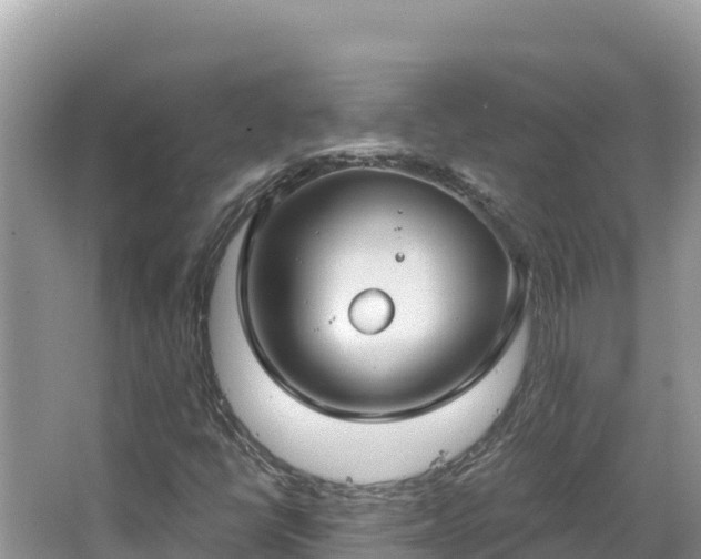 X0000067491398200604101243