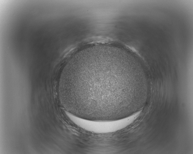 X0000067491399200604101243