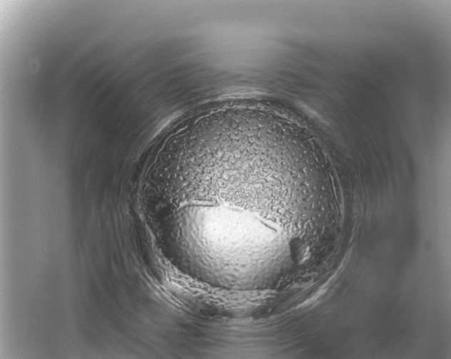 X0000067491401200604101243