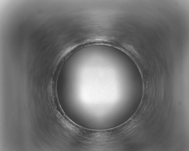 X0000067491404200604101243