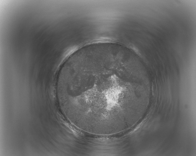 X0000067491405200604101243