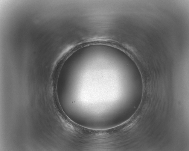 X0000067491406200604101243