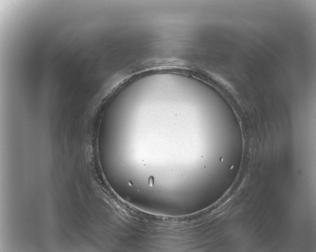 X0000067491407200604101243