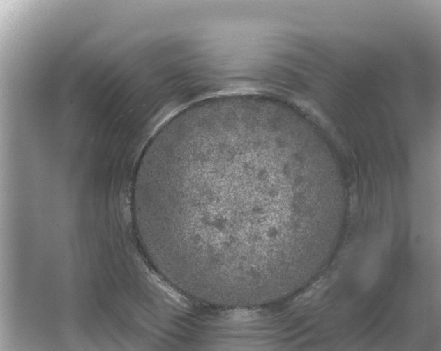 X0000067491409200604101243