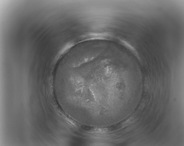 X0000067491411200604101243