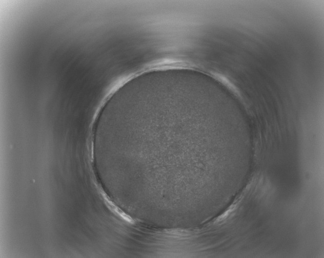 X0000067491413200604101243