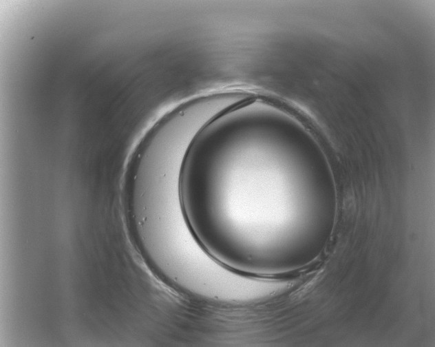 X0000067491414200604101243