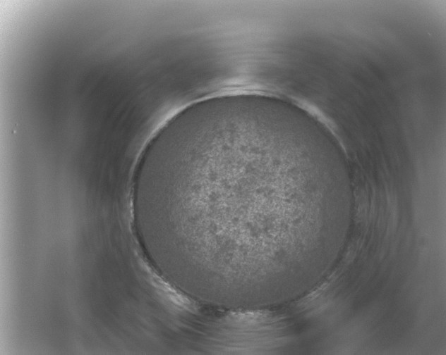 X0000067491415200604101243