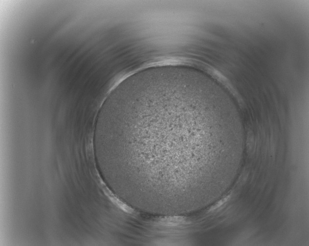 X0000067491417200604101243