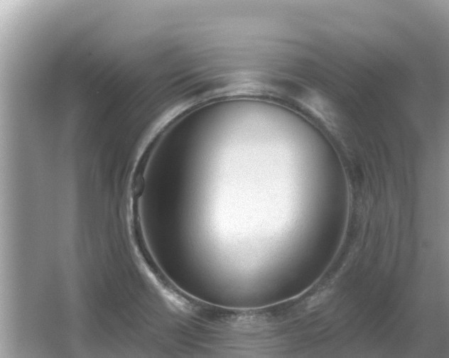 X0000067491418200604101243