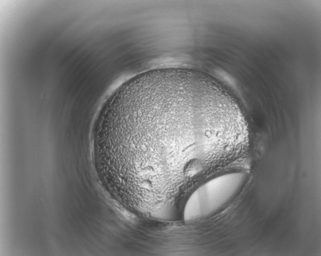 X0000067491419200604101243