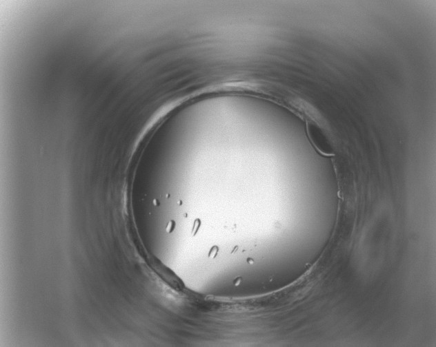 X0000067491420200604101243