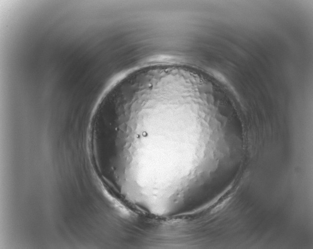 X0000067491421200604101243