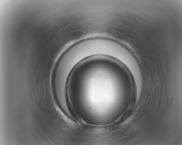 X0000067491422200604101243