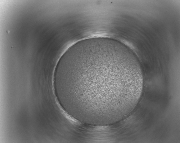 X0000067491423200604101243