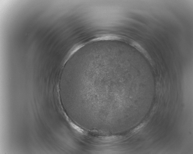 X0000067491425200604101243