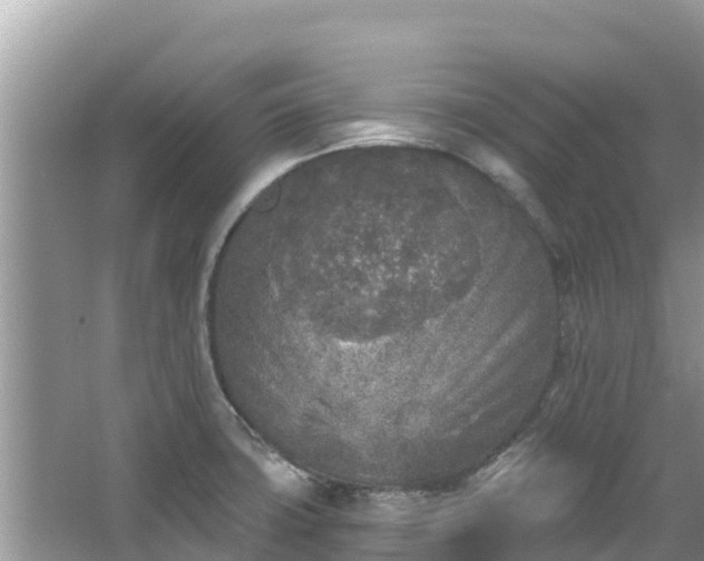 X0000067491427200604101243